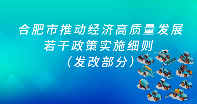 合肥市推动经济高质量发展若干政策实施细则 （发改部分）