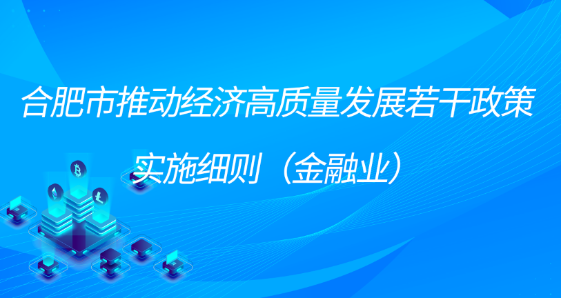 合肥市推动经济高质量发展若干政策 实施细则（金融业）
