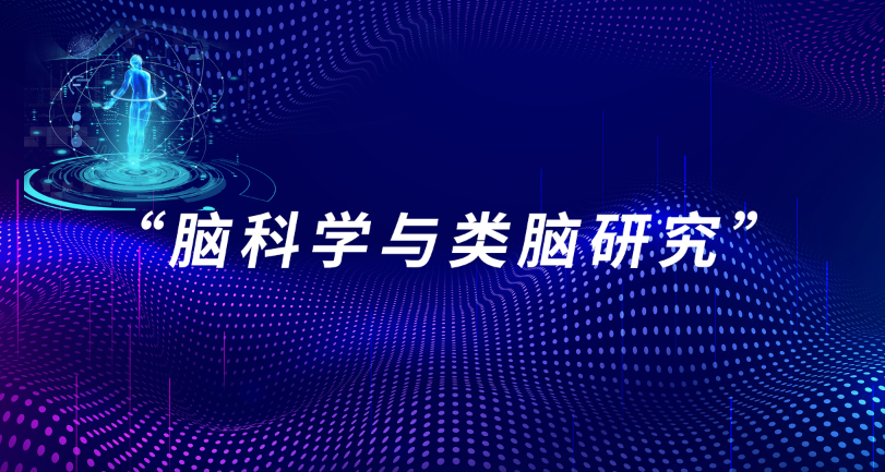 脑科学与类脑研究