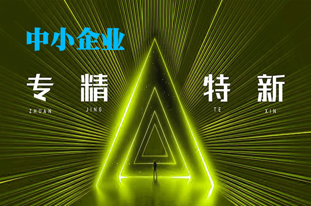 2021年度阜阳市专精特新中小企业名单