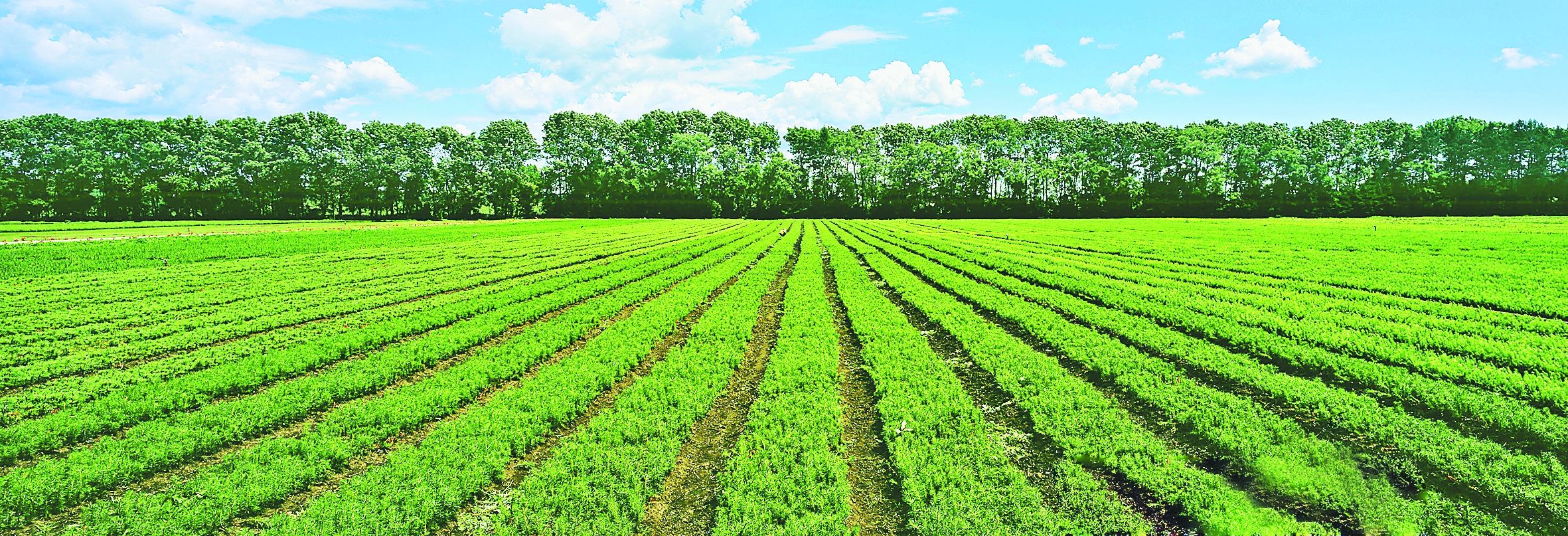 2021年度巢湖市推动经济高质量发展若干政策项目申报