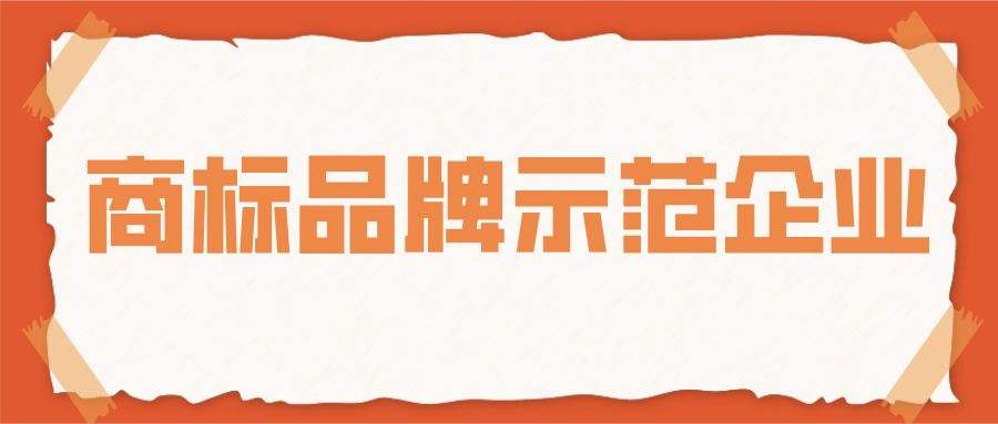 2021年安徽省商标品牌示范企业