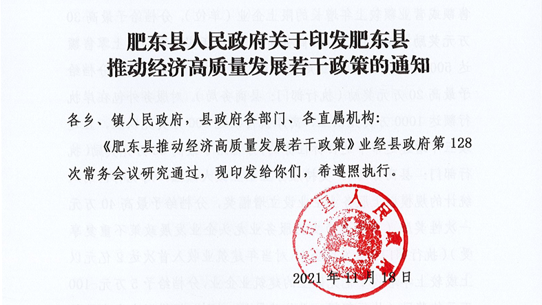 肥东县推动经济高质量发展若干政策