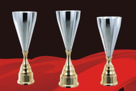 第九届安庆市人民政府质量奖及提名奖拟奖名单公示