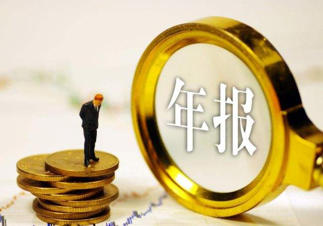 合肥市2021年度年报公示