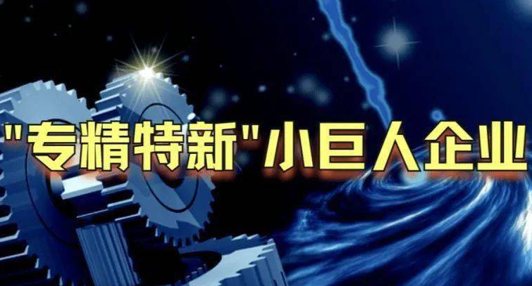 关于安徽省做好国家级专精特新重点“小巨人”项目实施工作的通知