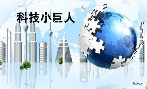 淮南市“科技小巨人”企业管理办法