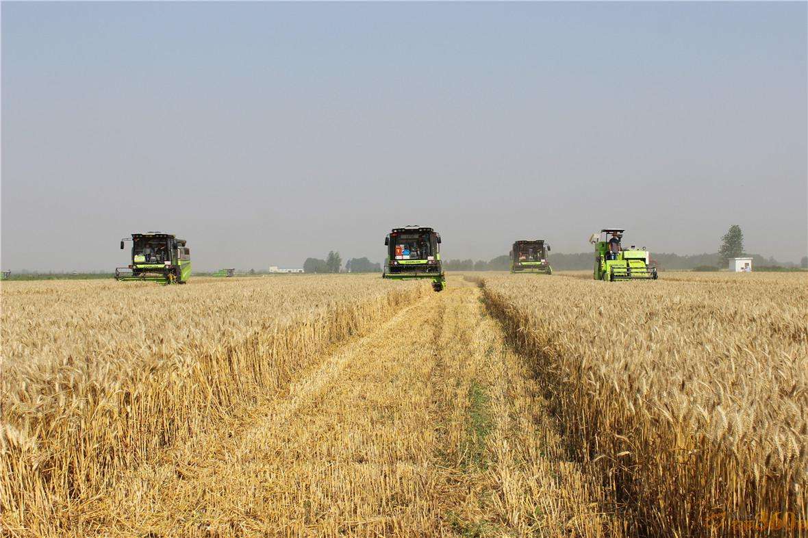 加快“数字皖农”建设若干措施