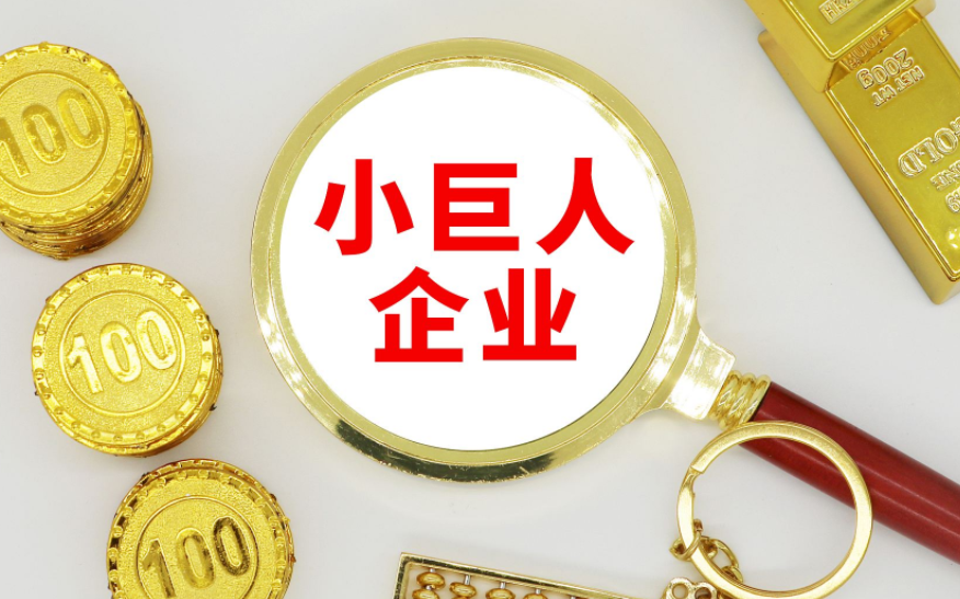 我国今年将新培育3000家“小巨人”企业