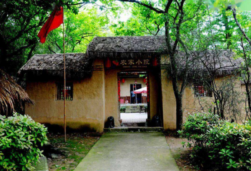 安徽金寨县小南京村 产业兴旺人气旺