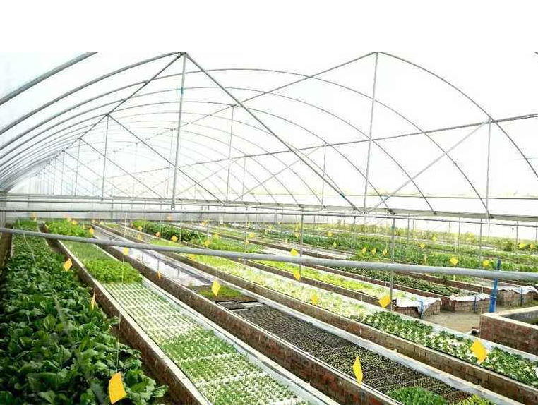 安徽农业产业化龙头企业数全国第六