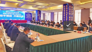 铜官区重点华体育app最新版本更新内容项目集中签约3