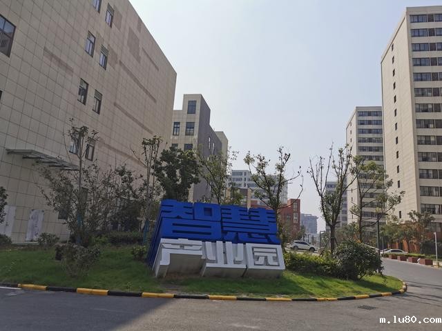 合肥智慧产业园（新站）