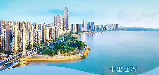 芜湖市首届紫云英人才日