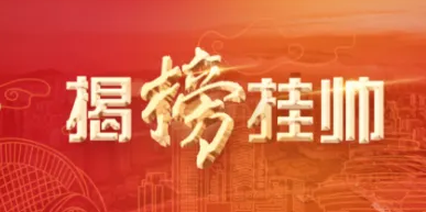 合肥市科技重大专项“揭榜挂帅”项目实施方案