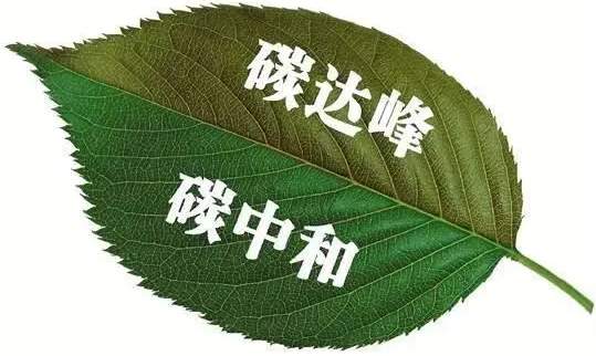 关于完整准确全面贯彻新发展理念做好碳达峰碳中和工作的意见