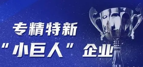 2022年专精特新“小巨人”企业认定标准