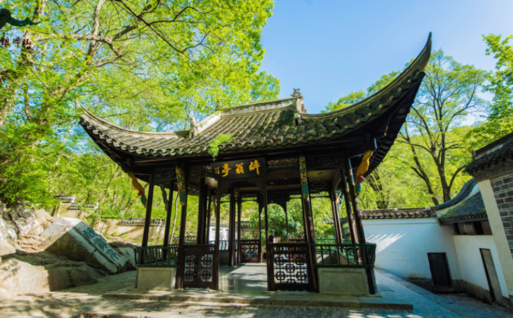 滁州擦亮“亭满意”营商品牌 助力企业纾困3