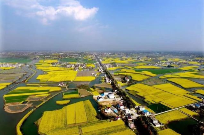 解读安徽农民首富县的富裕密码2