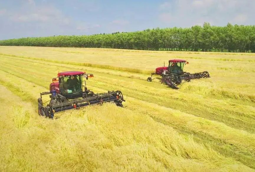 《2022年合肥市推动经济高质量发展若干政策实施细则（农业）》解读