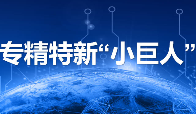 专精特新小巨人需满足的条件有哪些？