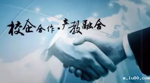 产教融合型企业