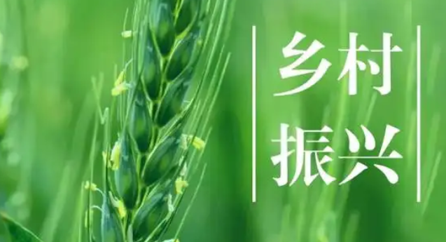 乡村振兴战略“四个优先”