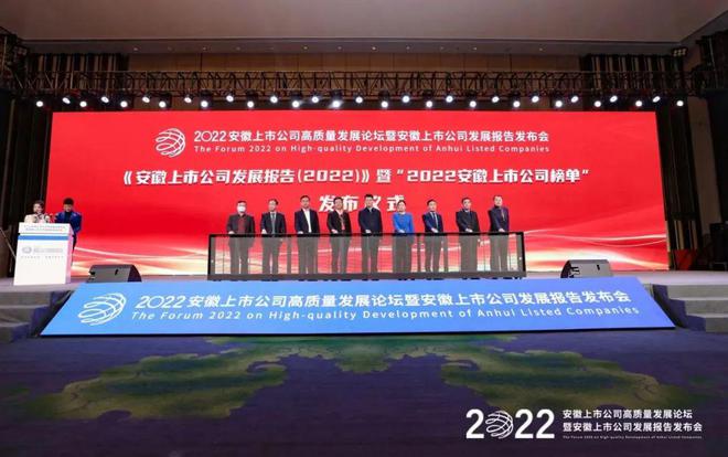 2022安徽上市公司系列榜单