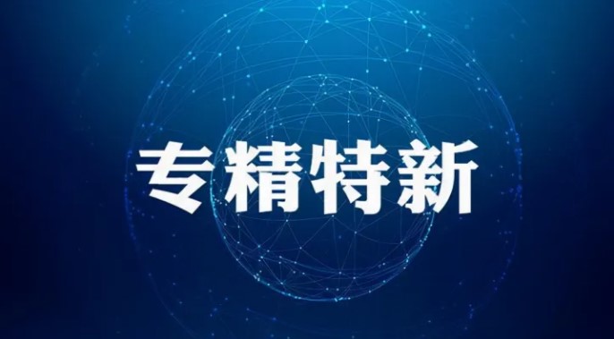 2022年度安徽省专精特新中小企业名单