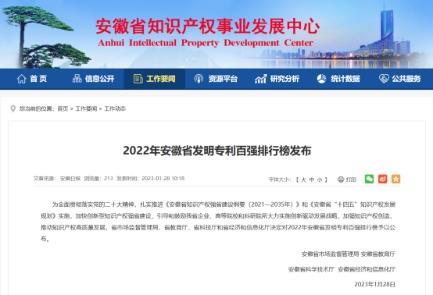 2022年安徽省发明专利百强排行榜