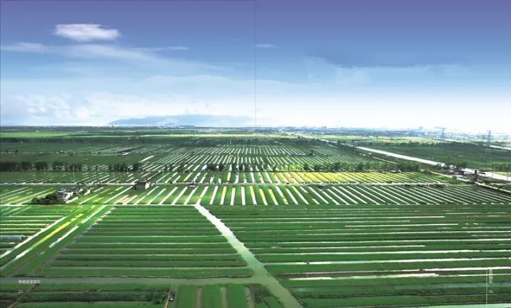 合肥首支种业产业引导基金成功组建