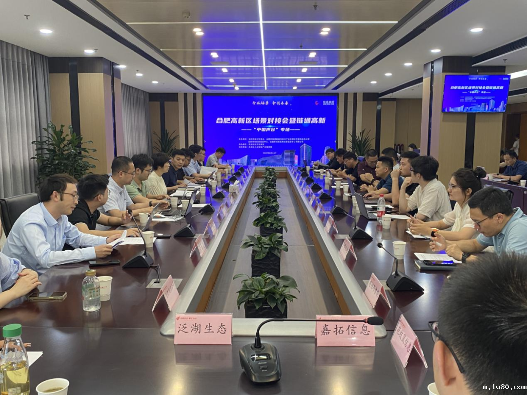 合肥高新区场景对接会暨链通高新“中国声谷”专场场景对接会成功举办