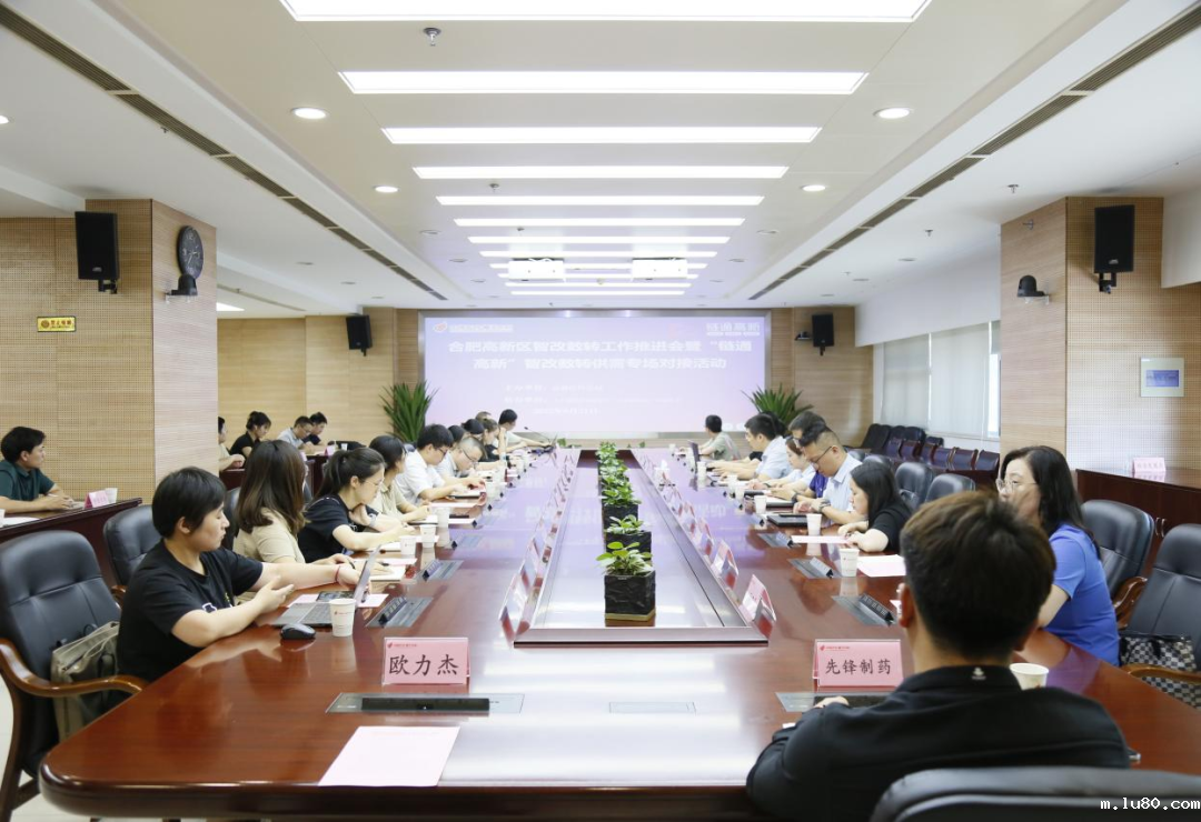 合肥高新区召开智改数转工作推进会暨“链通高新”智改数转供需对接会
