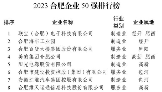 2023年合肥企业50强榜单