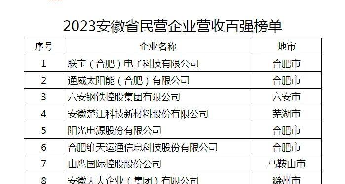 2023安徽省民营企业营收百强榜单