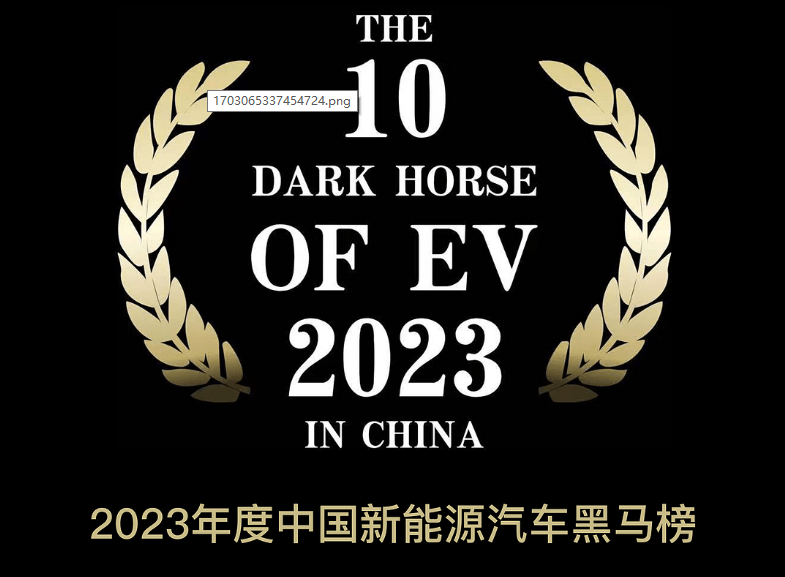 2023年度中国新能源汽车黑马榜