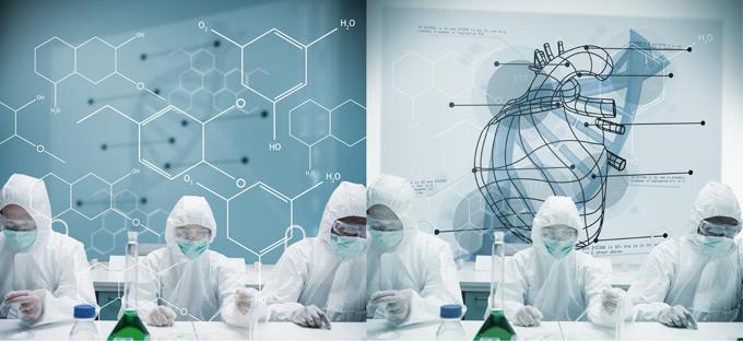 研发人员全时当量