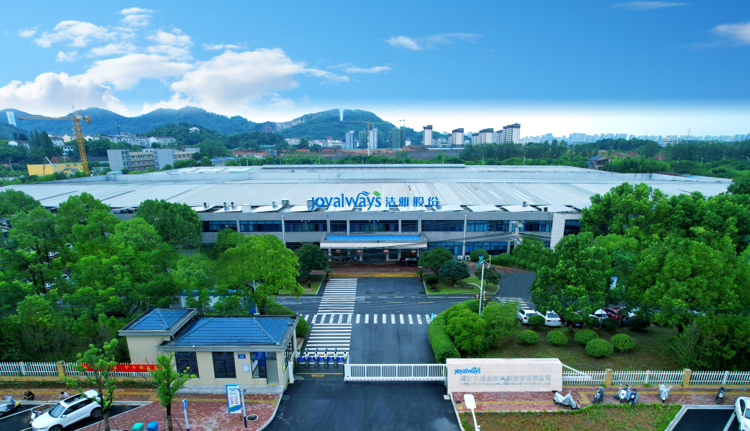 铜陵洁雅生物科技股份有限公司