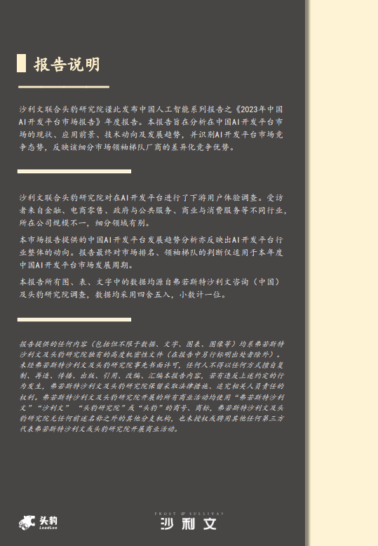 2023年 中国AI开发平台市场报告