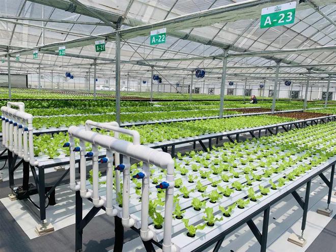 农业现代化的核心是什么？