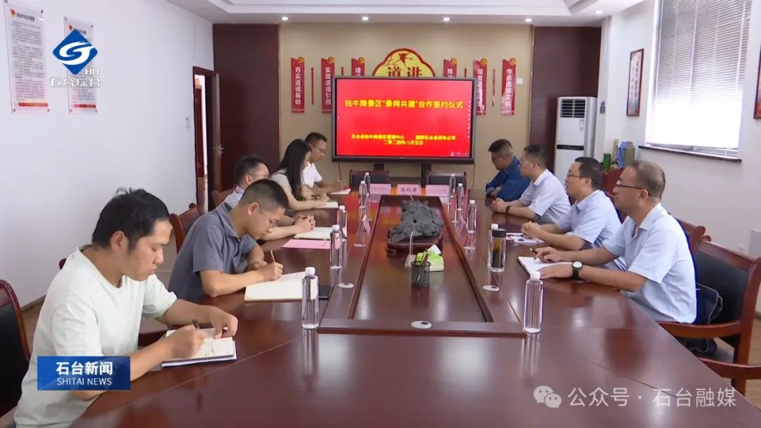 池州市首个“景网共建”电力服务站正式成立