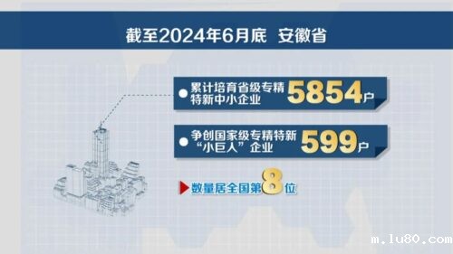 这次登记深化了我们与银行之间的金融合作，拓宽了企业融资渠道，让我们可以更加聚焦主业，加大在锂电池梯次与再生利用领域的研发投入，打造完备的锂电池再生资源回收加工利用全产业链体系。