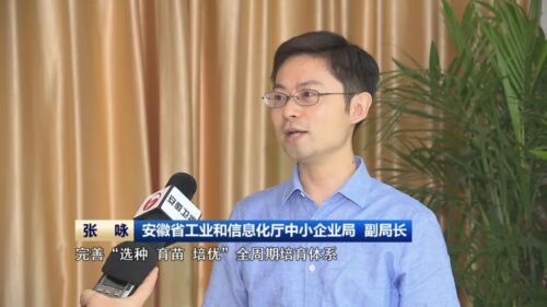 安徽省工业和信息化厅中小企业局 副局长 张咏