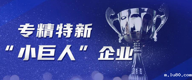 　9月7日，安徽省第六批专精特新“小巨人”企业名单公示结束，安庆市中国建材桐城新能源材料有限公司、太湖金张科技股份有限公司、安庆合力车桥有限公司等6家企业入选，安庆“小巨人”企业队伍再壮大。