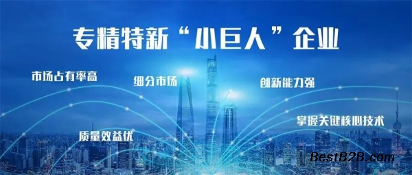 合肥高新区经发局