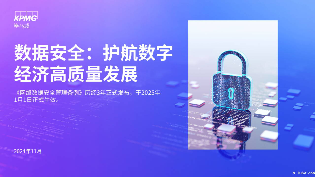 数据安全：护航数字经济高质量发展