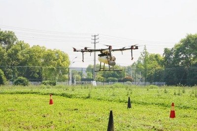 发挥龙头企业引领作用 加快发展新质生产力