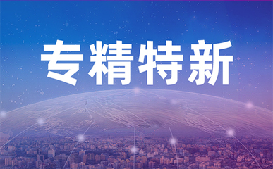 关于组织开展2025年国家级专精特新“小巨人”预申报工作
