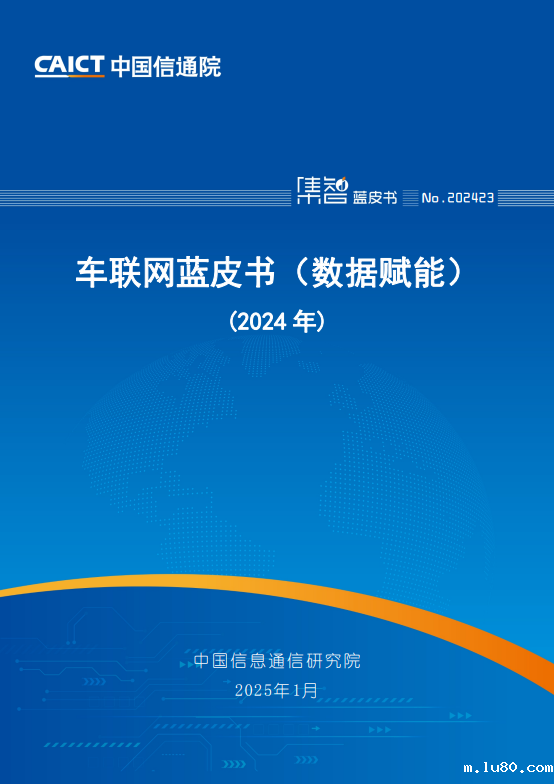 车联网蓝皮书（数据赋能）（2024年）