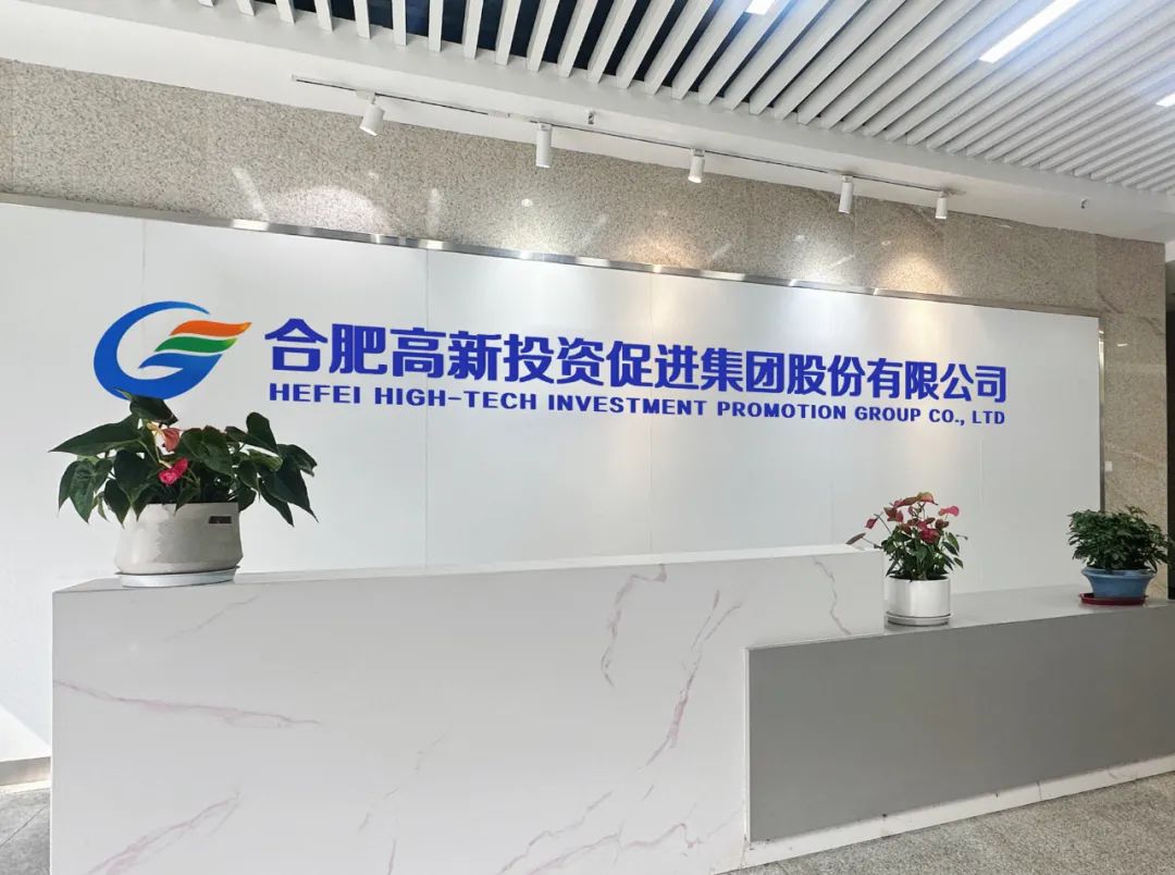 高新投促集团成立！